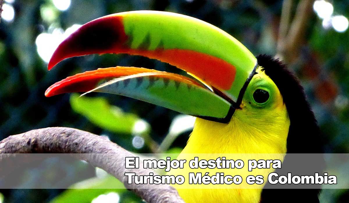 Clínica Obesidad y Envejecimiento: Tratamientos láser con turismo médico en Colombia