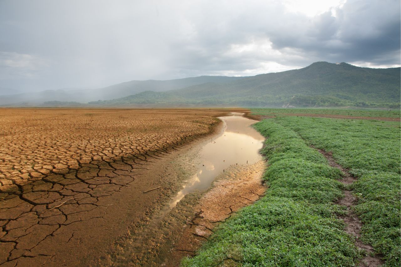 Los efectos del cambio climático en la producción de alimentos en Honduras