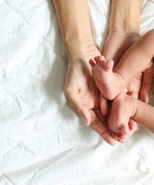 Vitrificación de óvulos: opciones de preservación para pacientes de  México