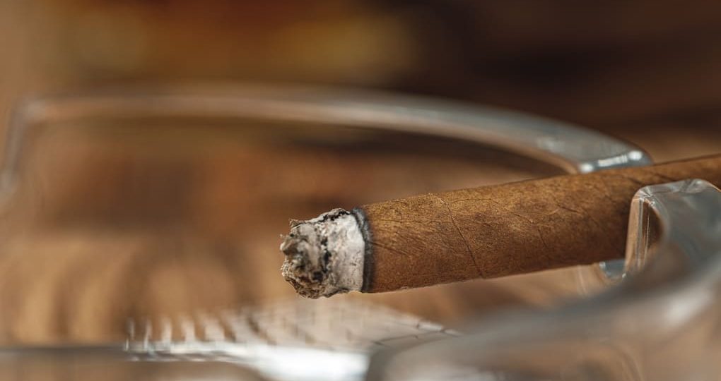 Empatía en Panamá: puros suaves para cualquier ocasión