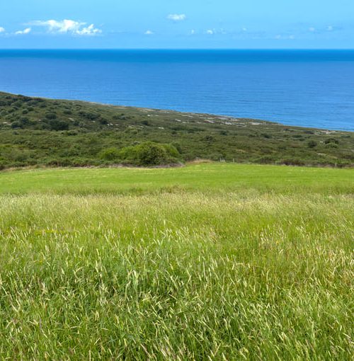 La contribución del CBM a la investigación ambiental según Max van Rijswijk